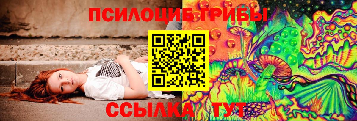 Борзя  Псилоцибиновые грибы Magic Shrooms  Вход с VPN  Галлюциногенные грибы мицелий 